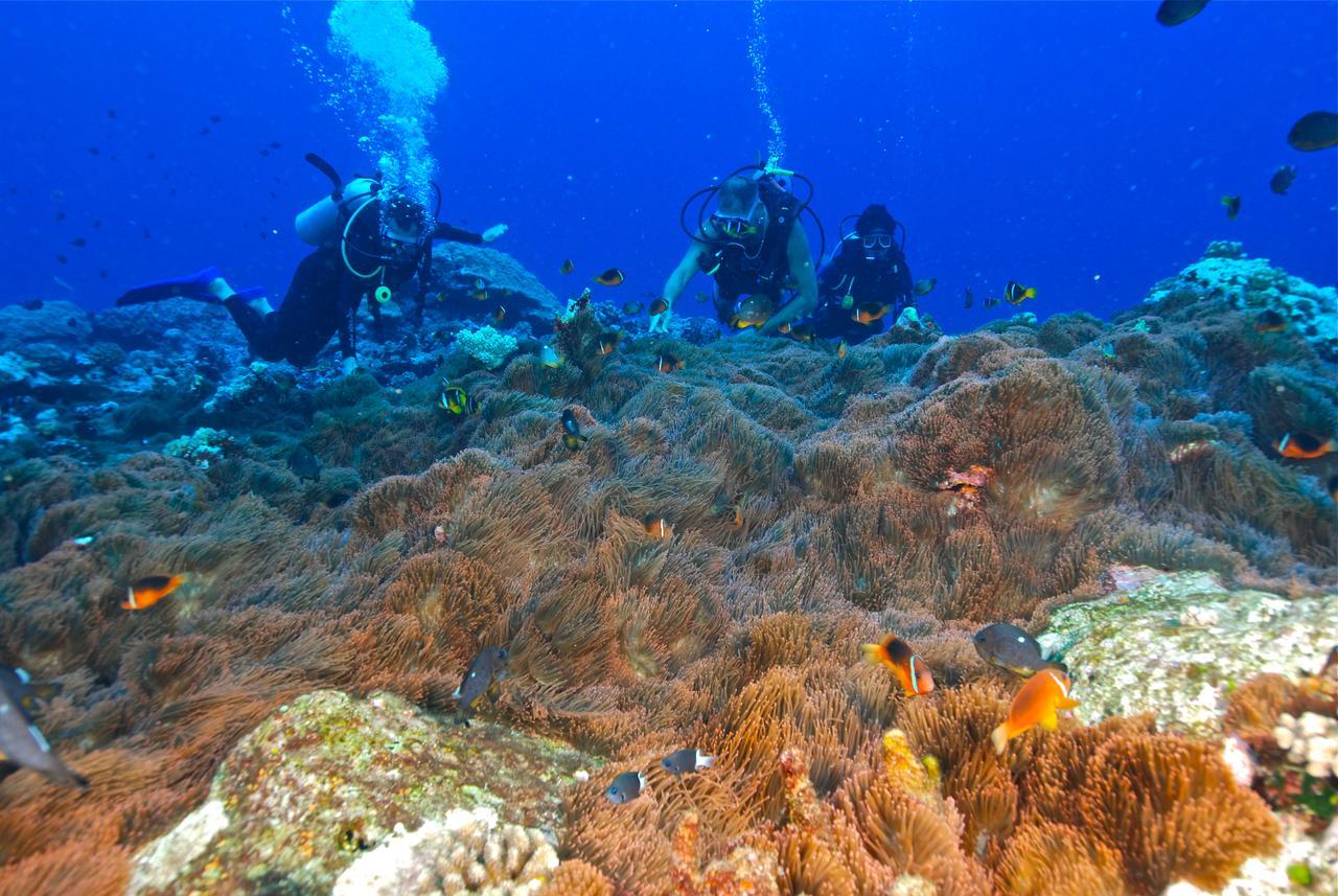 Reef Resort Vava'U Utungake Esterno foto